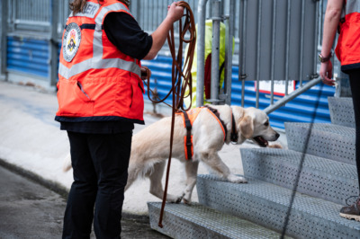 Rettungshundestaffel Südhessen zu Gast im Merck Stadion